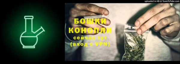mix Богородицк