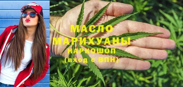 mix Богородицк