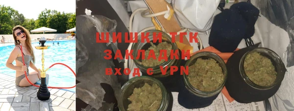 mix Богородицк