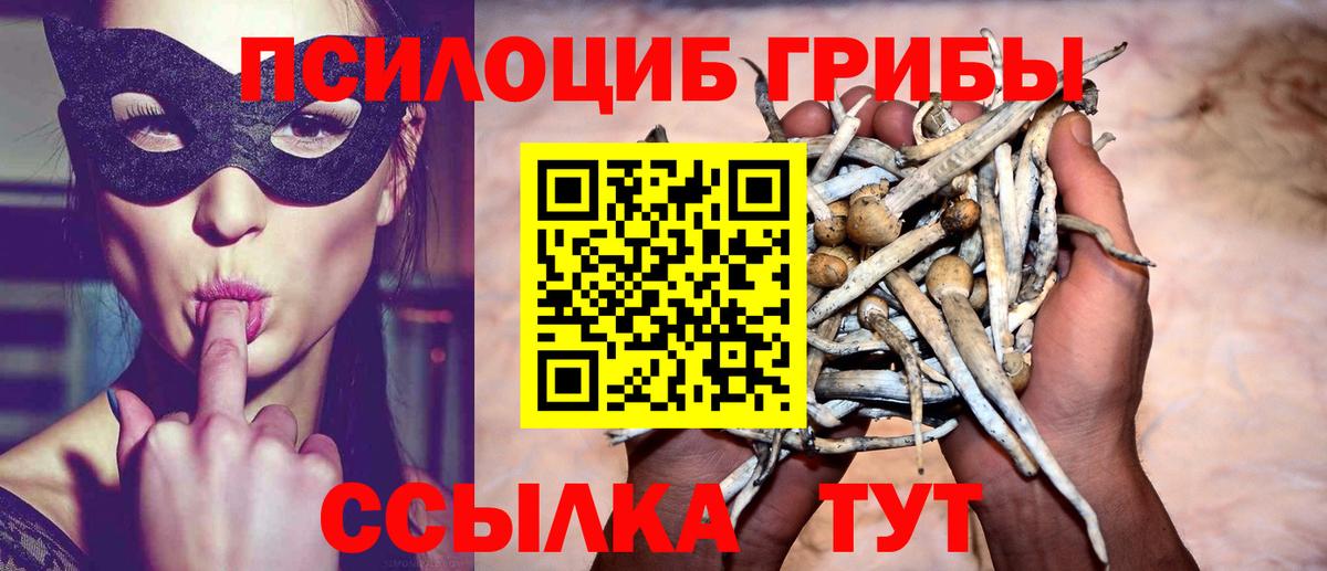Галлюциногенные грибы Psilocybine cubensis  Псилоцибиновые грибы мицелий  Борисоглебск  закладка  Вход с VPN 