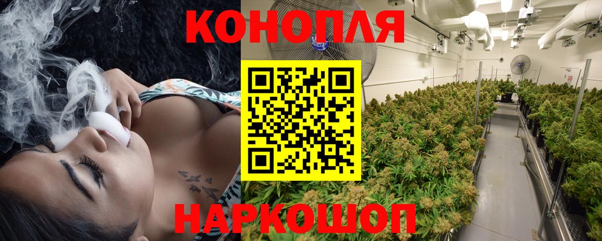 Конопля MAZAR Борисоглебск